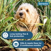 (2 pack) Seresto Flea & Tick Collar For Dogs Up to 18 lbs., Vet-Recommended, 8 Month Protection