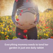 Garden of Life Organics Prenatal Once Daily, 90 Tablets