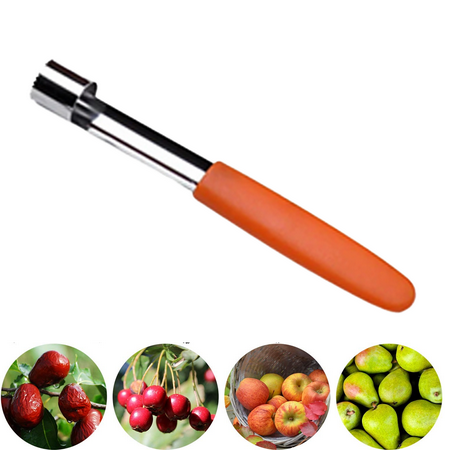 

Apple Corer 1 Pack Stainless Steel Apple Corer Remover Tools Orange