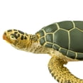 thumbnail image 5 of Safari Ltd. Green Sea Turtle Figurine - Realistic 3.58" Aquatic Figure - Educational Toy for Boys, Girls, and Kids Ages 3+, 5 of 6