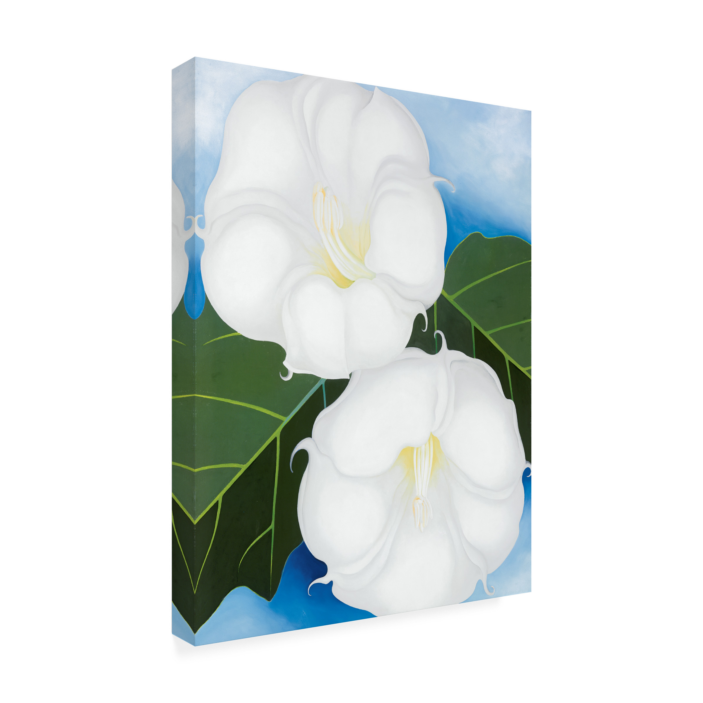 Trademark Fine Art Georgia O'Keefe Two Jimson Weeds Canvas Wall Art - 24x32