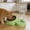 Green-Free Size/GN, variant on Tgbvmt Pet Automatic Feeder Water Dispenser Removable Stainless Steel Bowl Integrated Food Water Dispenser Leak-Proof Plastic Pet Feeder for Home Indoor Kitten Puppy Cat Dog Daily Feeding Supplies