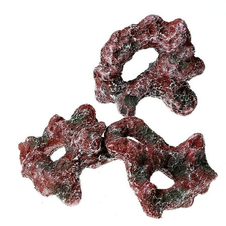3 live rock ceramic