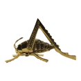 thumbnail image 4 of Solid Brass Lucky Cricket Rustic Fireplace Hearth Mantle Decor, 4 of 4