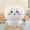 Kiyoshi, variant on 20-80CM Cartoon chiikawa Doll chiikawa Doll chiikawa Small Eight Plush Toy Doll Pillow Children's Gift