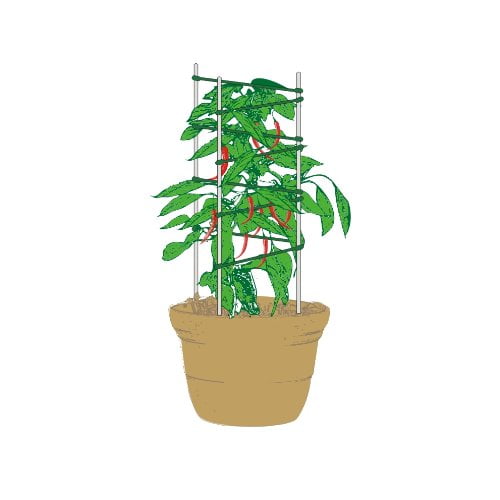 Mr. Garden VShape Expandable Trellis, Plant Ladder, Support Ladder