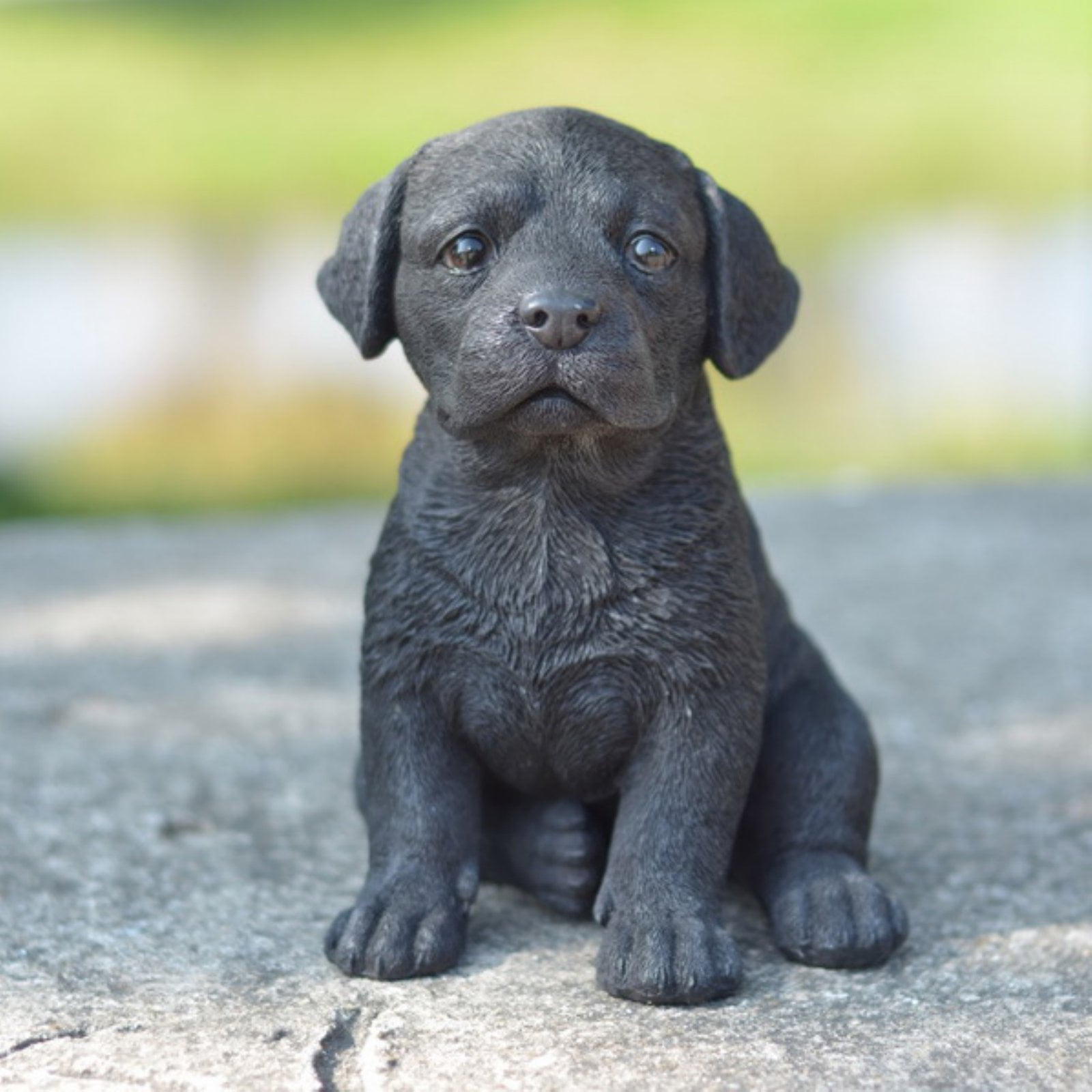 HILINE GIFT LTD. BLACK LABRADOR PUPPY