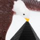 thumbnail image 4 of Juego de decoración de águila de equilibrio de escritorio, modelo de pirámide de pájaro, adorno, decoración del hogar, 1 Juego, 4 of 8