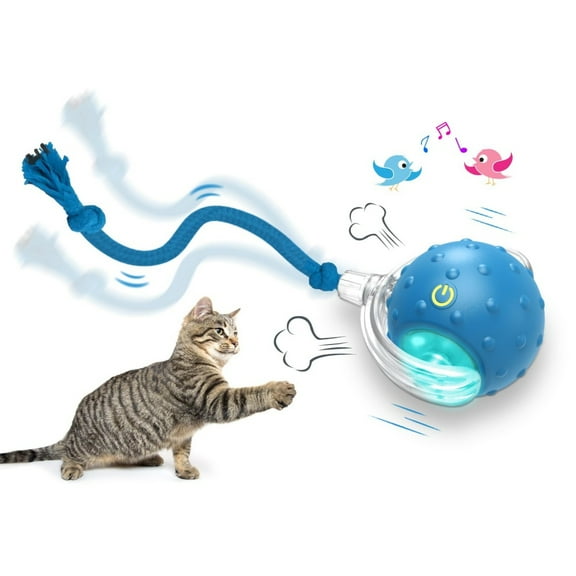 Interactive Cat Toys Ball for Indoor Cats, Fast Rolling on Carpet, Chirping & Motion-Activated, Blue