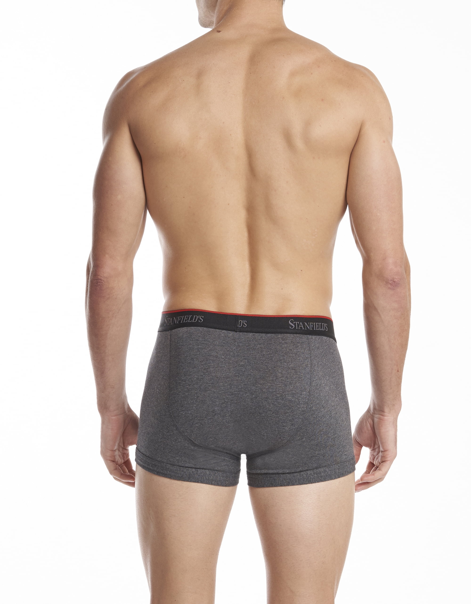 Stanfield's 2-Pack Mens Cotton Stretch Trunks Underwear, Sizes S-XL