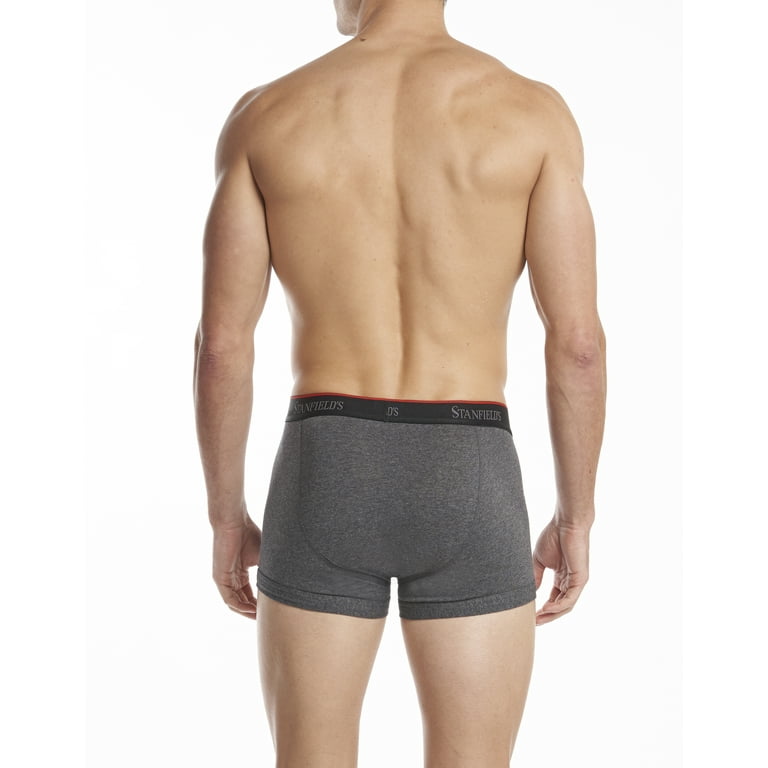 Stanfield's Men's 2 Pack Premium Knit Boxers, Black, Small : :  Clothing, Shoes & Accessories