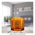 thumbnail image 4 of Vela Aromatica Hometrends Moss & Vetiver Aroma 225 G, 4 of 4