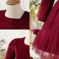 thumbnail image 4 of IDOPIP Infant Velvet Dresses Baby Girl Long-sleeved Dress Autumn and Winter Tutu Dress 2-3Y Jujube Red, 4 of 8
