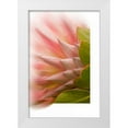 thumbnail image 1 of Murdock, Ramona 23x32 White Modern Wood Framed Museum Art Print Titled - Protea Blossom, 1 of 4