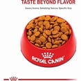 thumbnail image 2 of Canine Care Nutrition Medium Digestive Care Adult Dry Dog Food 30 lbs., 2 of 2