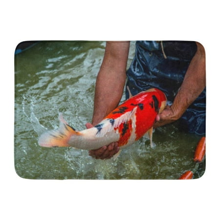 Fish Bath Mats & Rugs GODPOK Fish Ojiya Japanese Koi Carp Colored Coloured Rug Doormat Bath Mat 23.6x15.7 inch ()