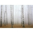 thumbnail image 2 of Wall26 - Beautiful Dreamlike Forest in Autumn Time - Wall Mural, Removable Sticker, Home Decor (66"x96", Artwork - DH47), 2 of 5