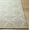 Medium Gray, Taupe, Beige / Damawato, variant on Hauteloom Damawato Jute Living Room, Bedroom Area Rug - Traditional, Transitional - Medium Gray, Taupe, Beige - 6' x 9'