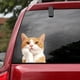 thumbnail image 5 of Cute Orange Stickers Car Stickers Window Stickers, 5 of 6