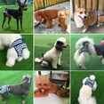 Female Dog Diapers for Small, Medium and Large Dogs Adjustable