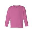 thumbnail image 1 of Rabbit Skins - New NIB - Toddler Long Sleeve Cotton Jersey Tee, 1 of 5