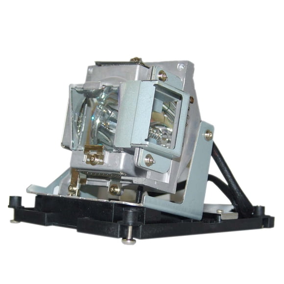 Lampe de Projecteur Philips Originale de Remplacement avec Boîtier pour BenQ SP840
