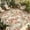 Pink, variant on Rose Fall Outdoor Rug for Patio/Deck/Porch, Non-Slip Large Area Rug 5 x 8 Ft, Thanksgiving Vintage Pastoral Botanical Flowers Indoor Outdoor Rugs Washable Area Rugs, Camping Rug Carpet Runner