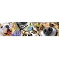 thumbnail image 5 of Rompecabezas Ceaco Selfies Companion Selfies 500 piezas, 5 of 5