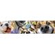 thumbnail image 5 of Rompecabezas Ceaco Selfies Companion Selfies 500 piezas, 5 of 5