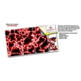 thumbnail image 3 of WraptorSkinz Skin Wrap compatible with the 2020 XBOX Series X Console and Controller Electrify Red (XBOX NOT INCLUDED), 3 of 3