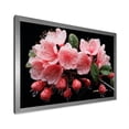 thumbnail image 2 of Designart "Suspended Blossom Cascade in Pink" Floral Framed Wall Art Decor - Traditional Pink Fuschia Hallway Framed Wall Art Decor, 2 of 6