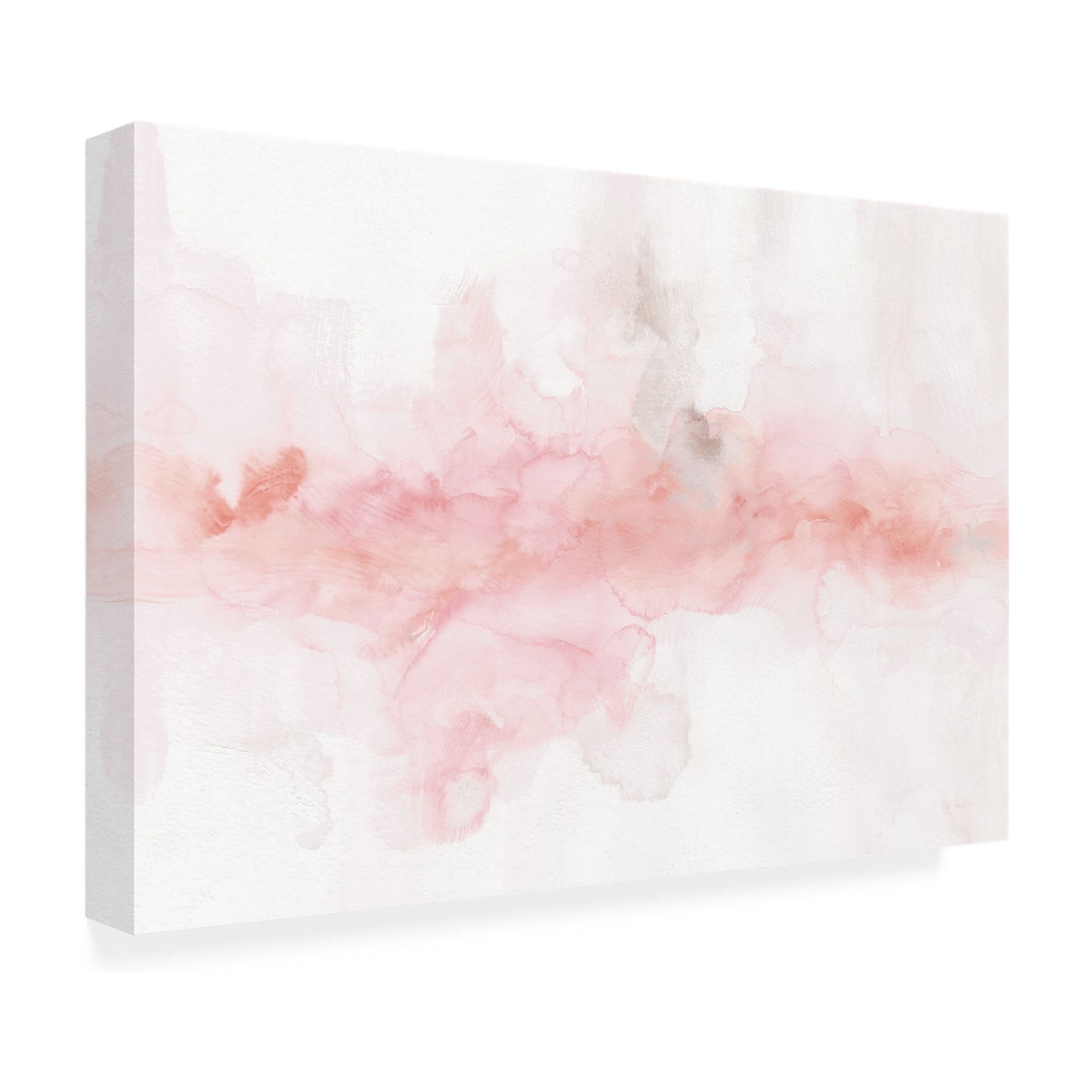Lisa Audit 'Rainbow Seeds Abstract Blush Gray Crop' Canvas Art