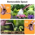 thumbnail image 4 of Metal Watering Can for Outdoor Plants, 1 Gallon Galvanized Steel Watering Can with Removable spout for Outdoor & Indoor Use, Perfect for Garden Flower, Houseplants, Copper, 4 of 6