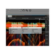 SpectraLayers Pro - (v. 3) - license - 1 user - ESD - Win, Mac