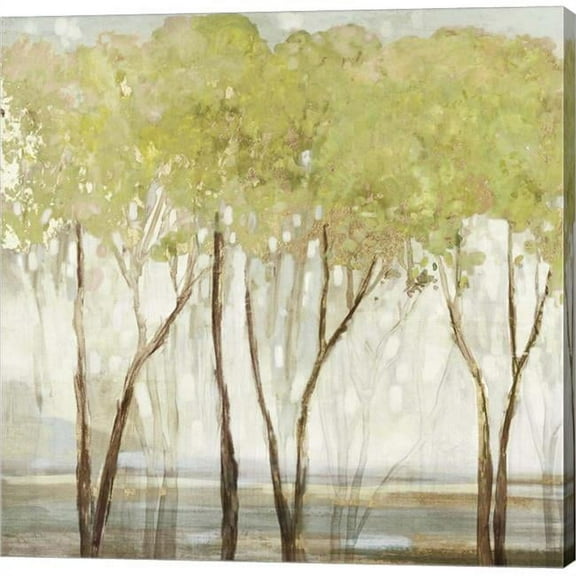 Metaverse C949200-0120000-AAAACMA Green Canopy I by Allison Pearce Canvas Wall Art - 12 x 12 in.