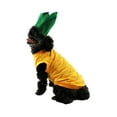 thumbnail image 1 of Midlee Costume de Chien Ananas Halloween (Grand), 1 of 4