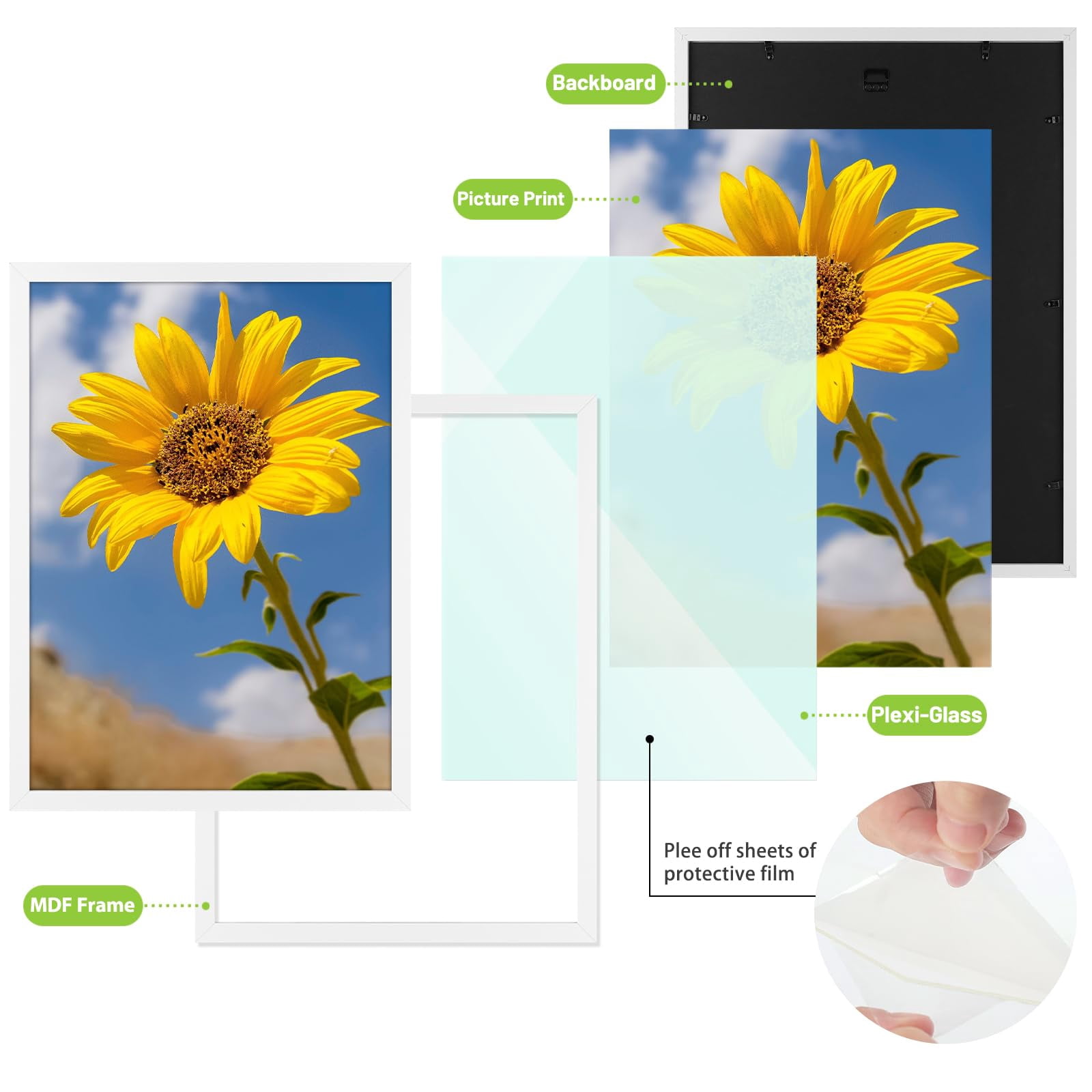 Golden State Art A2 16.5x23.4 Inch Picture Frames with Plexiglass, White, Set of 2