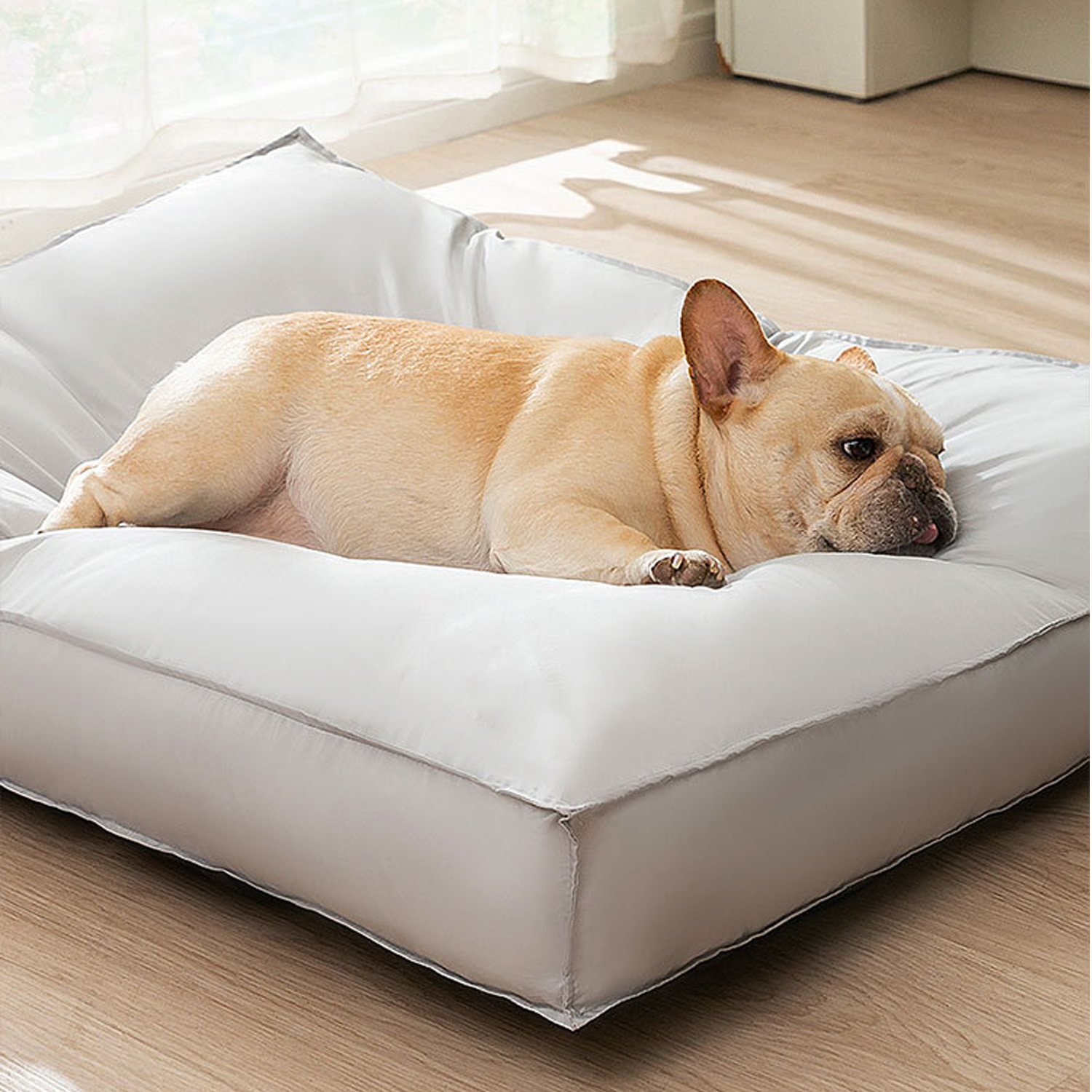 Dog Bed, Waterproof Dog Bed with Removable Washable Cover, Pet Bed Mat Suitable for Cats Small Medium Dogs 1-40 Pounds Gray L