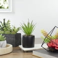thumbnail image 2 of 7" Green Artificial Sword Grass in Black Pot, 2 of 5