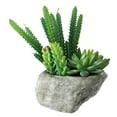 thumbnail image 2 of Northlight 6.5" Succulent Plant Artificial Arrangement in Rock Container - Green/Gray, 2 of 3