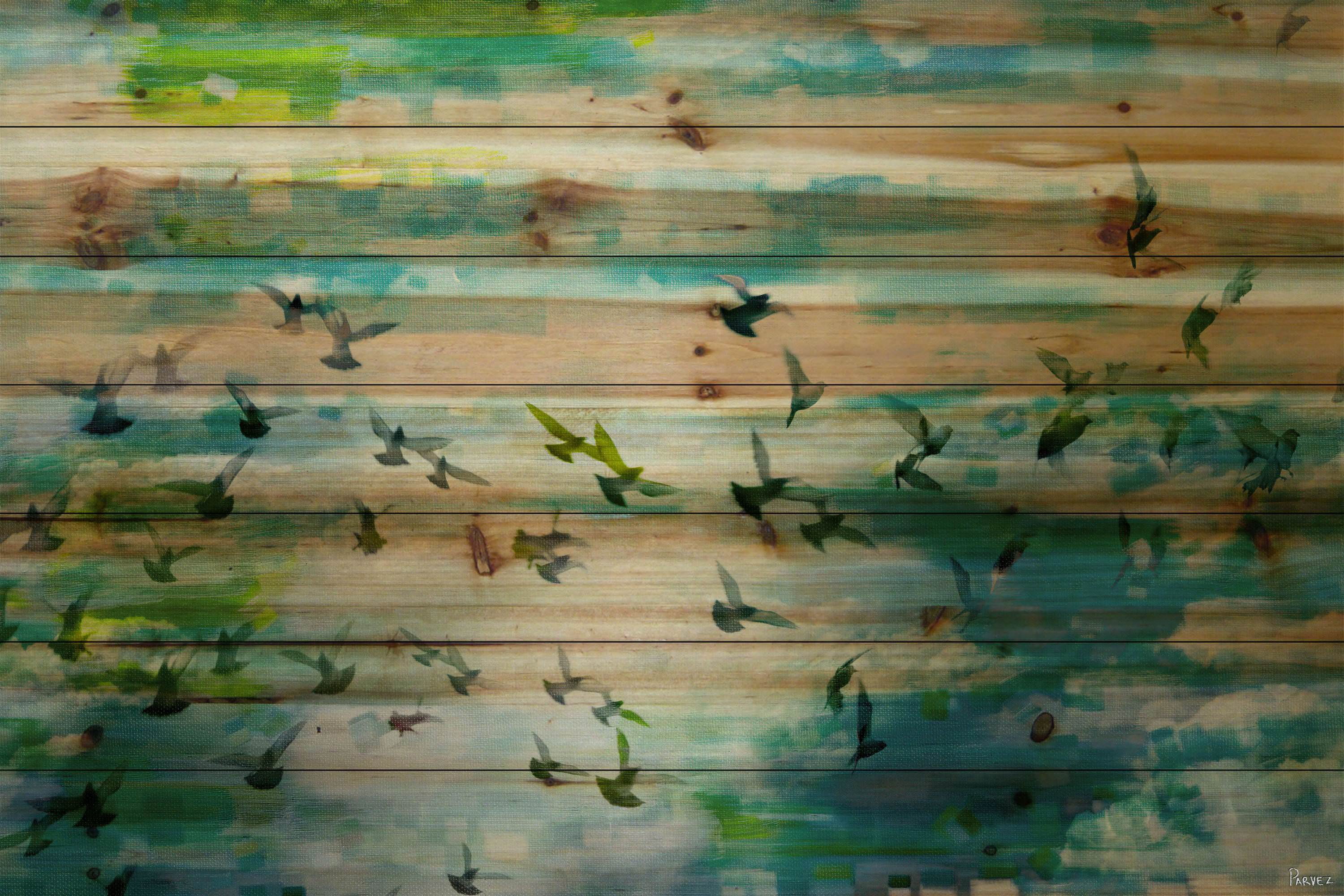 Parvez Taj Birds Art Prints