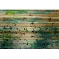 thumbnail image 2 of Parvez Taj Birds Art Prints, 2 of 7