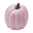 thumbnail image 6 of 7Pcs Halloween Simulation Pumpkin, Model Artificial Craft Fall Harvest Decoration, Holiday Home Party Decor Favors, 6 of 7