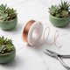 thumbnail image 4 of unbranded Para Jardinería Con Flexibilidad Y Fijación Segura En Tono Oro Rosa, 4 of 8