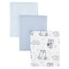 Little Star Organic Baby Boy 3 Pk Burp Cloths, One Size