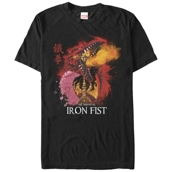 Men's Marvel Iron Fist Dragon Graphic Tee Black 4X Large
