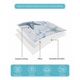 thumbnail image 4 of Full Size Quilt Bedding Set, Blue Starfish Coastal Reversible Summer Quilt 3 Pieces, Seaside Summer Ocean Shell Conch Lightweight Bedspreads Coverlets with 2 Pillow Shams for All Seasons, 4 of 5