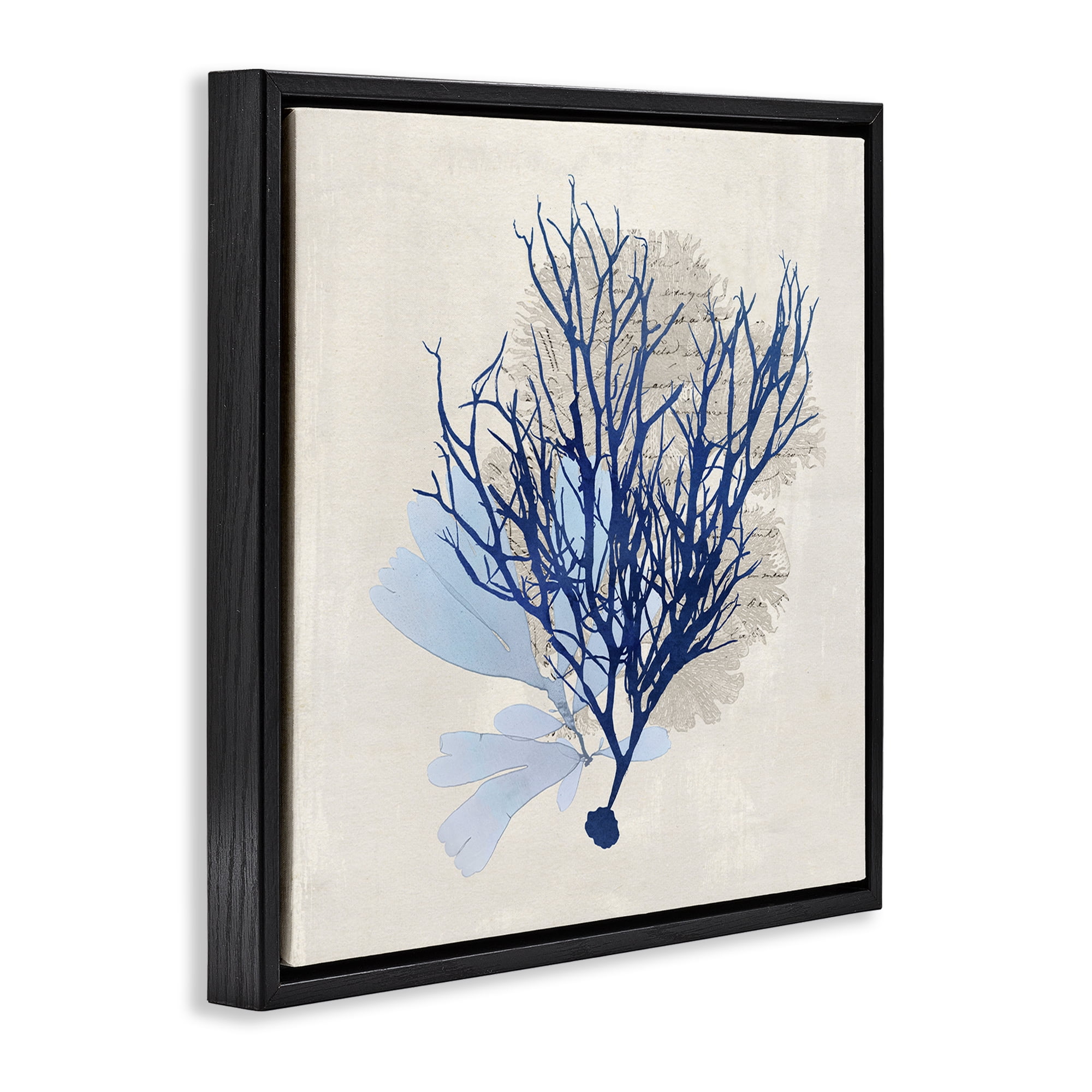 Stupell Industries Modern Coral Branch Nautical & Beach Painting Black Floater Framed Canvas Art Print Wall Art, 25 x 25