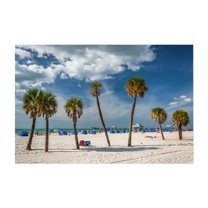 Clearwater Palms - Clearwater Beach Florida Photography Unframed Wall Art Print 5 x 7 inches