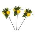 View all media
